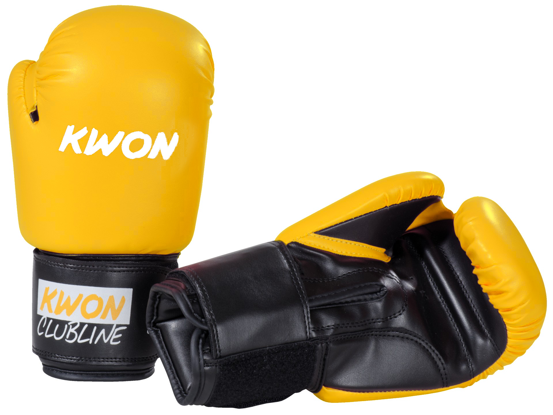 Guanti da Boxe Kickboxing Pointer