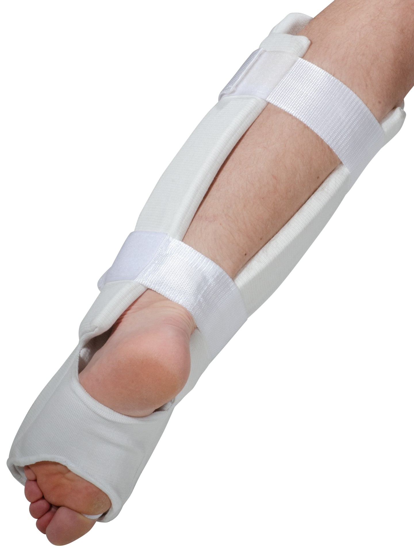 Paratibie piede Premium