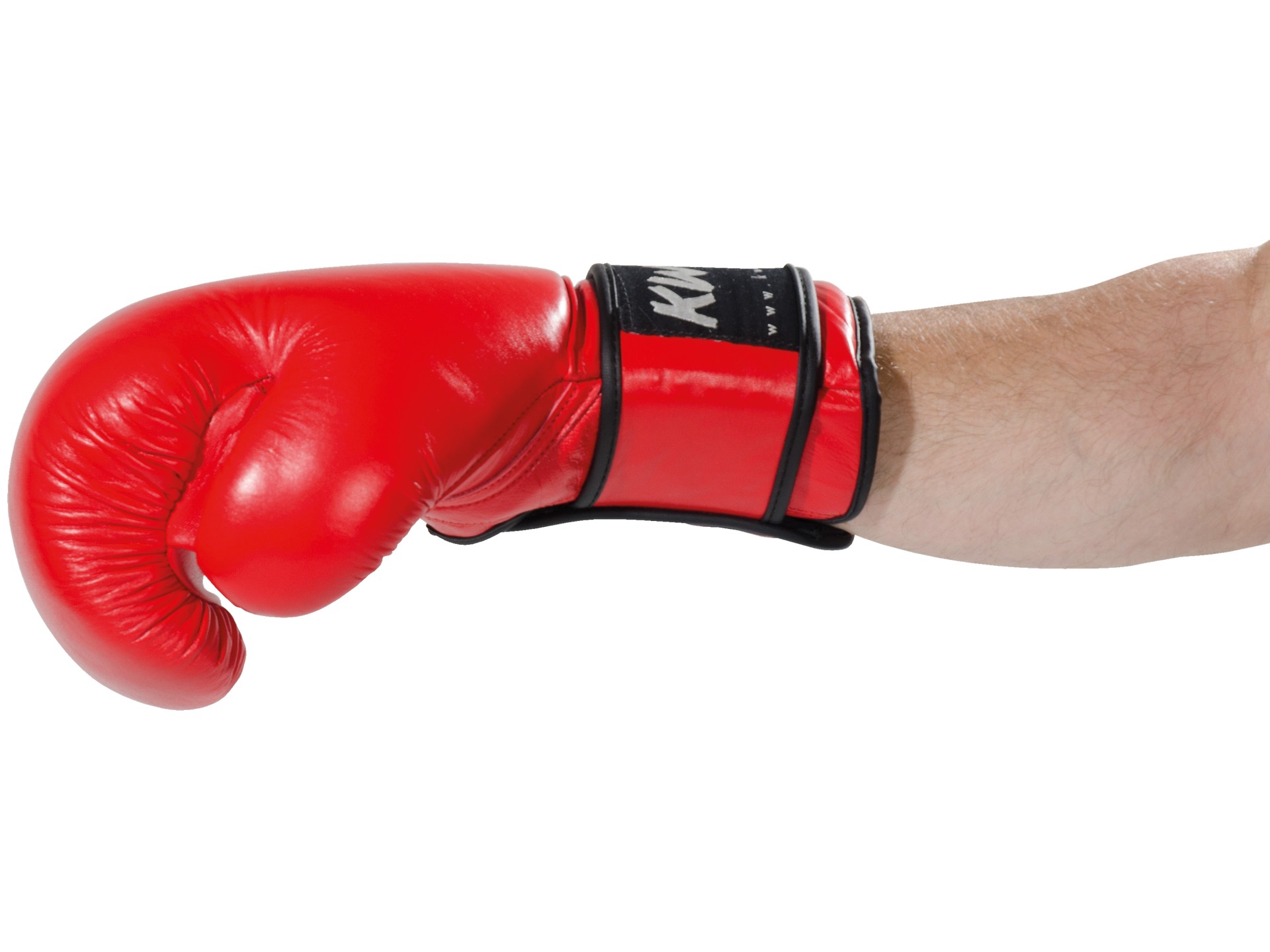 Guantoni kickboxing Ergo Champ 10 once