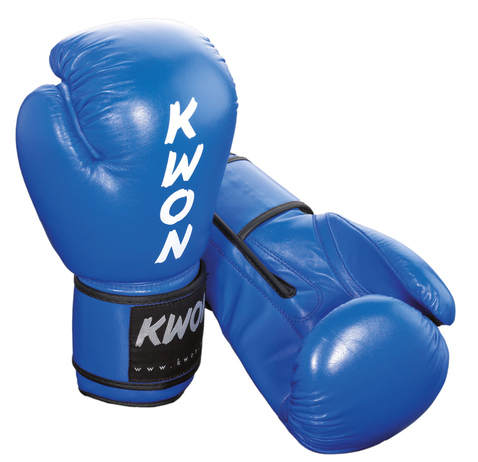 Guantoni kickboxing Ergo Champ 10 once