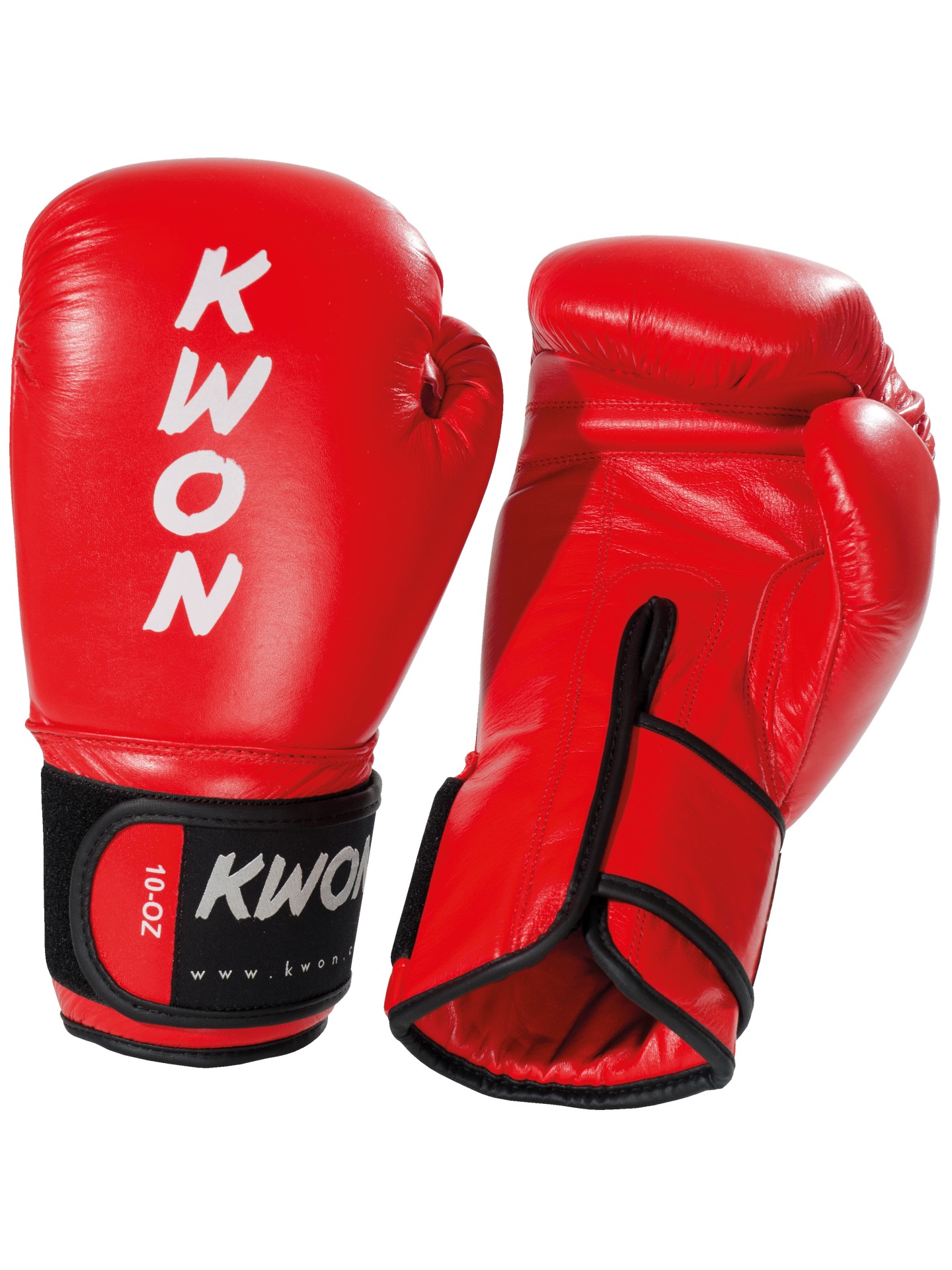 Guantoni kickboxing Ergo Champ 10 once