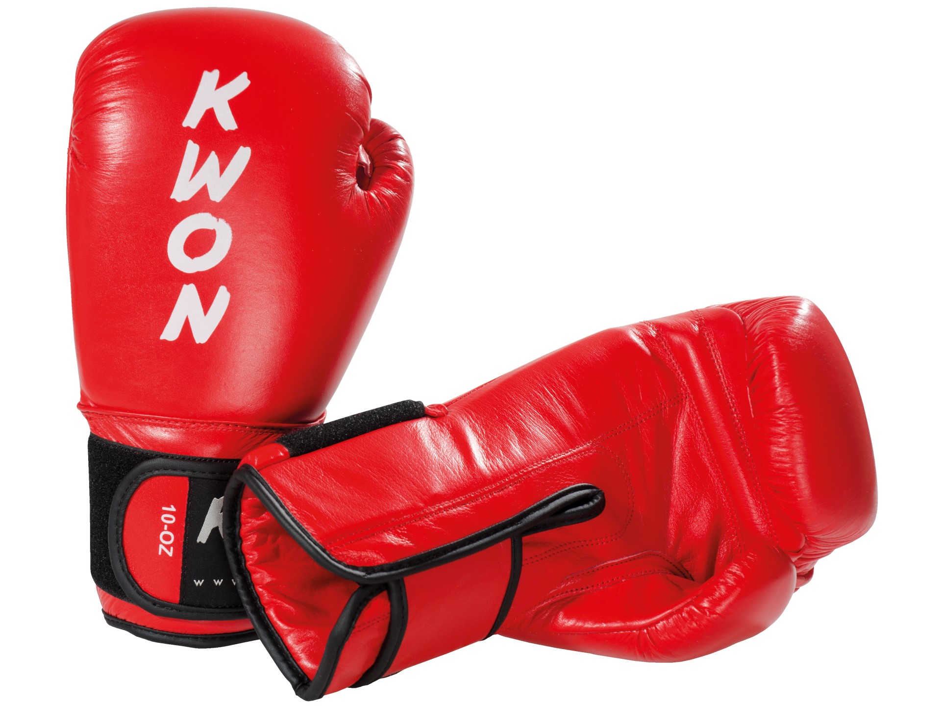 Guantoni kickboxing Ergo Champ 10 once