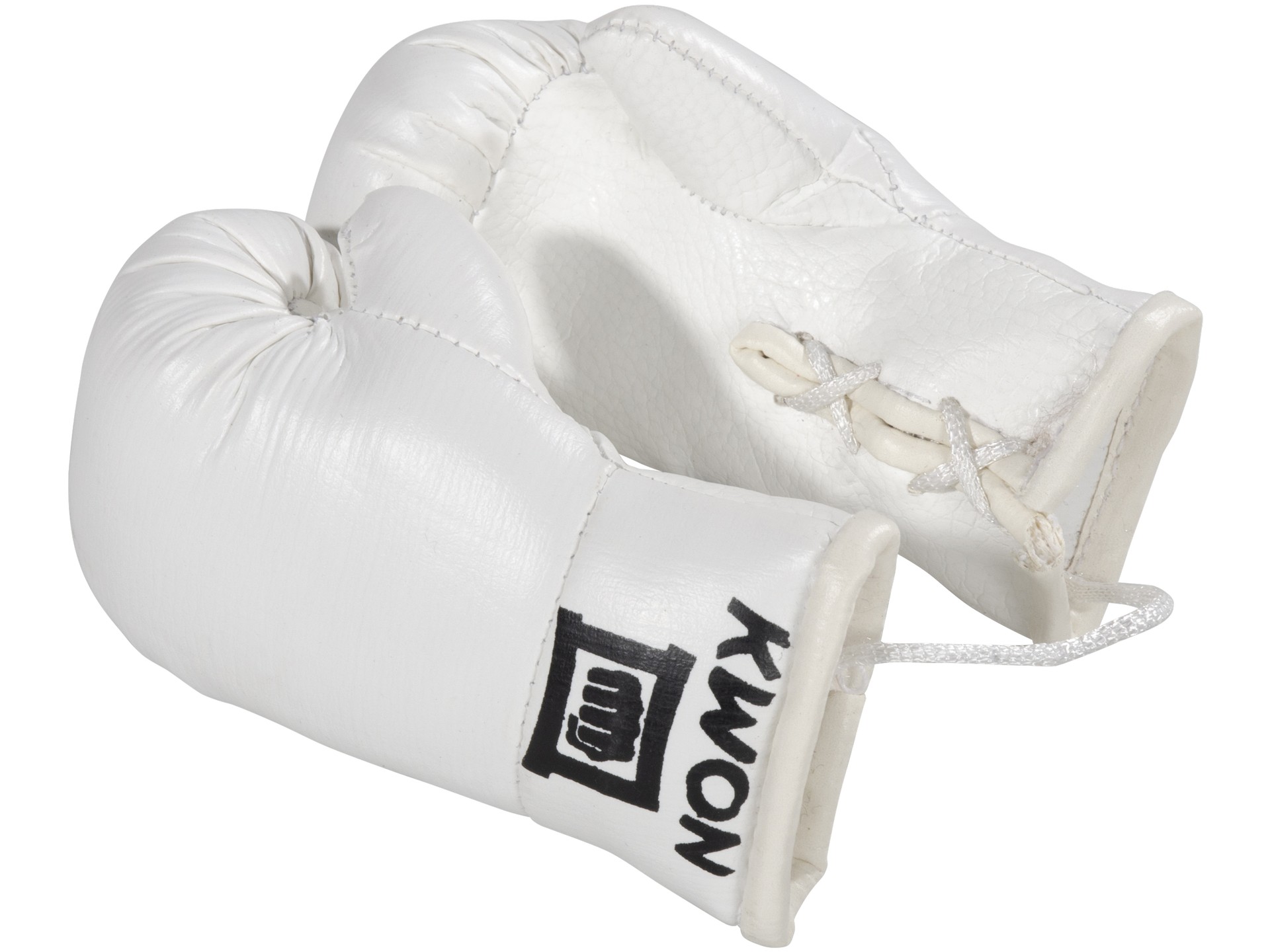 Mini guantoni da boxe