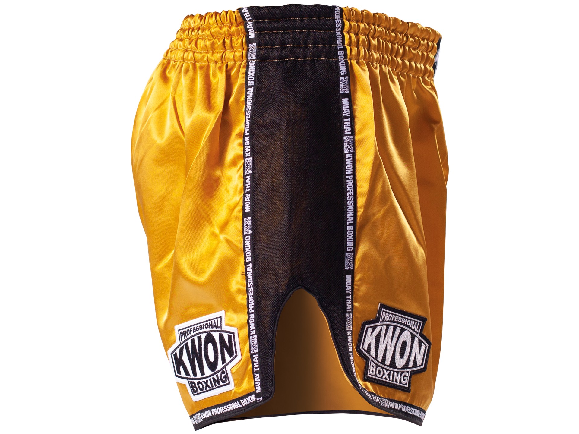 Thai Boxe Short Evolution