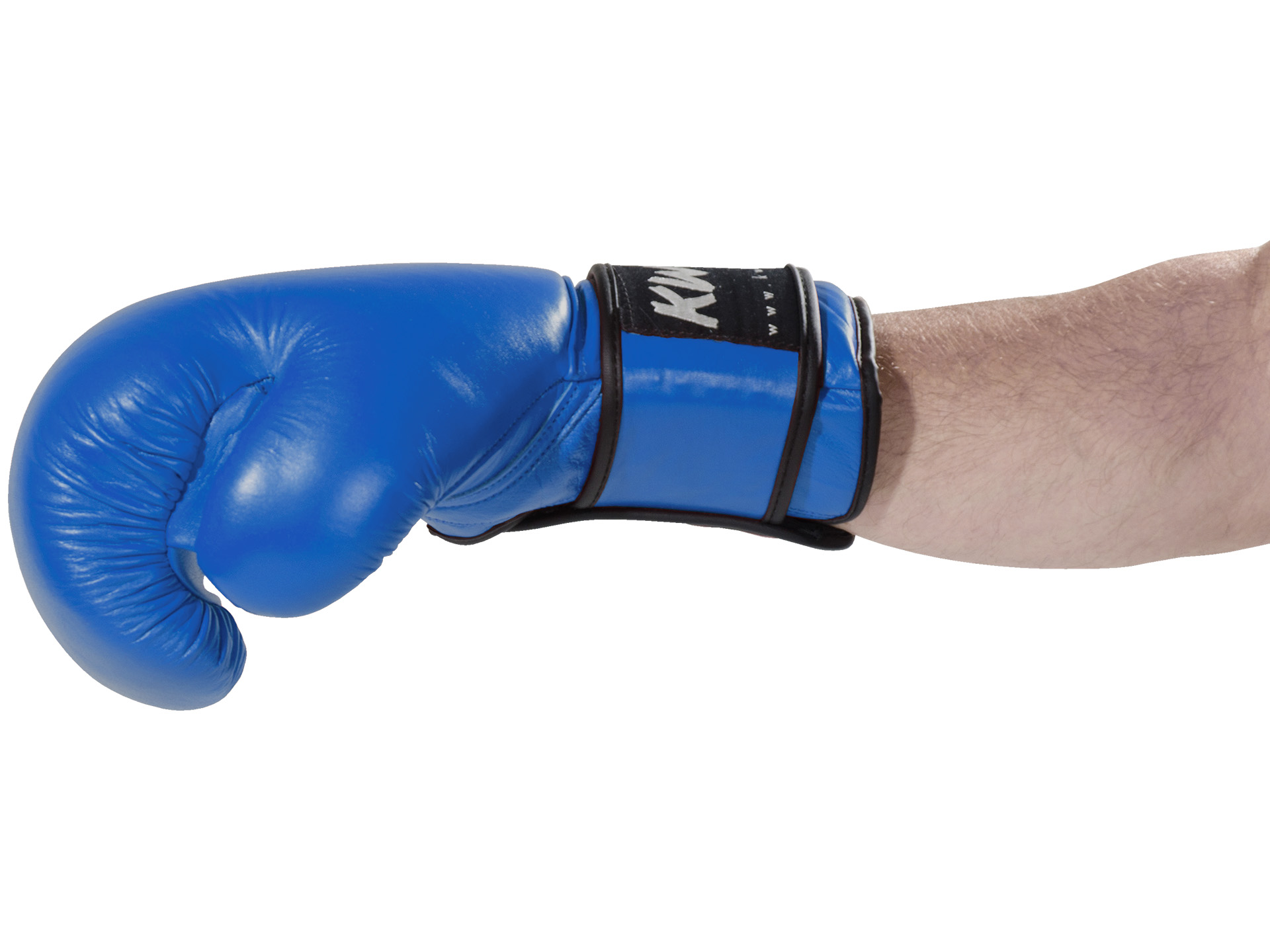 Guantoni kickboxing Ergo Champ 10 once