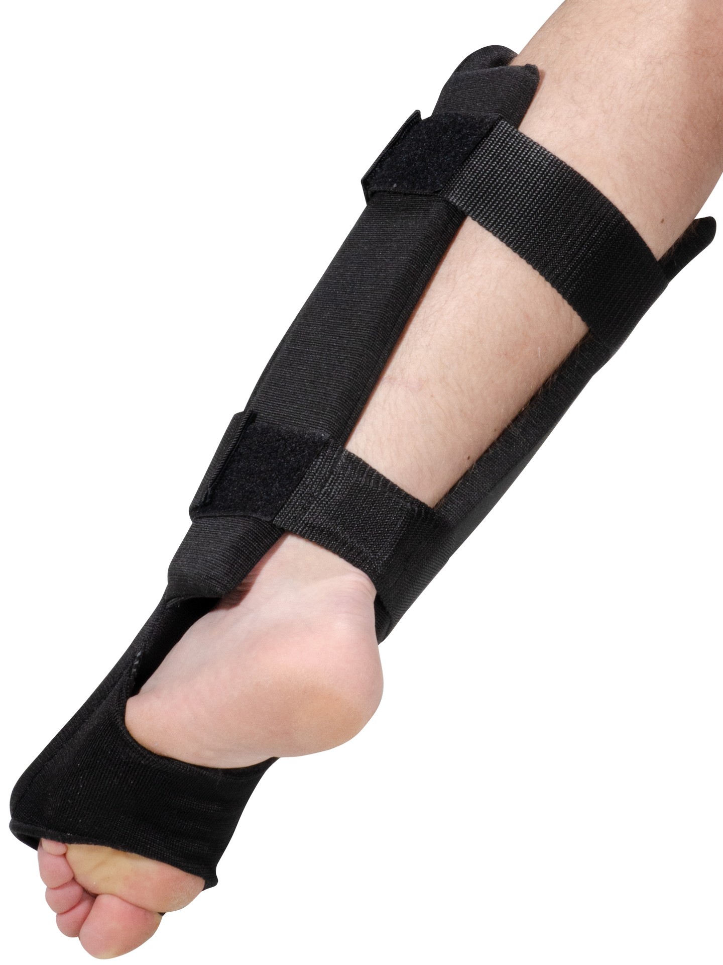 Paratibie piede Premium